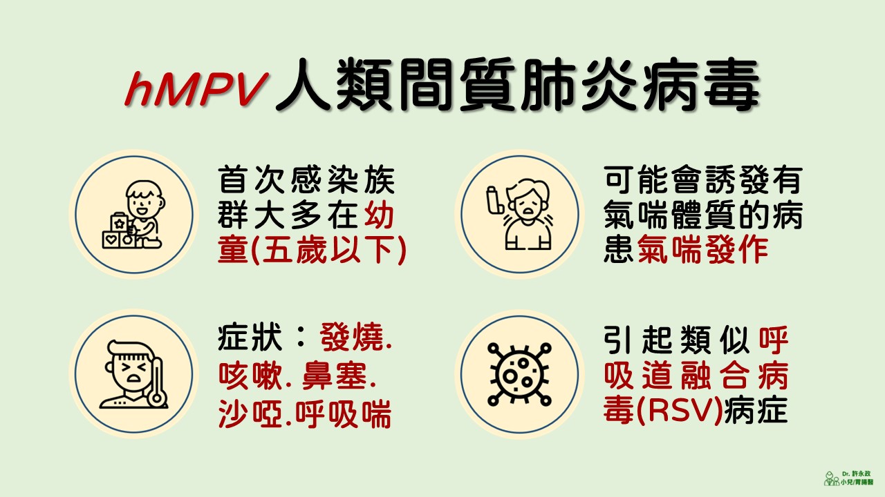 hMPV 人類間質肺炎病毒：兒童感染最常見症狀為咳嗽、流鼻水、發燒、喘鳴。台灣細支氣管炎住院病原排名 RSV 43.4%、博卡病毒 19.5%、hMPV 16.8%。許永政醫師（晴朗親子診所）解析。